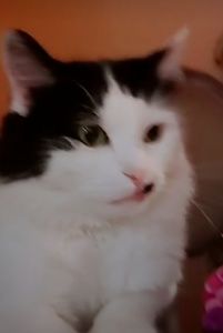 Meet your Posher, Ishaan